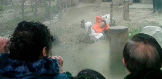 Tigre arrasta um homem que invadiu sua jaula em zoológico em Chengdu