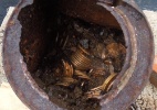 Casal encontra US$ 10 mi em moedas de ouro no quintal de casa (Foto: Reuters)
