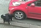 Câmera revela que 'vândalo' por trás de onda de pneus furados era um cão (Foto: Reprodução/BBC)