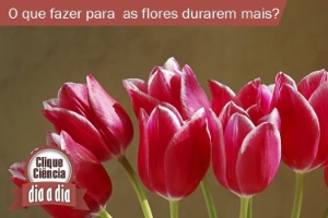 Thinkstock Thinkstock