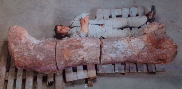 Restos fósseis de um enorme dinossauro que pesava o equivalente a 14 elefantes, ou seja, 100 toneladas