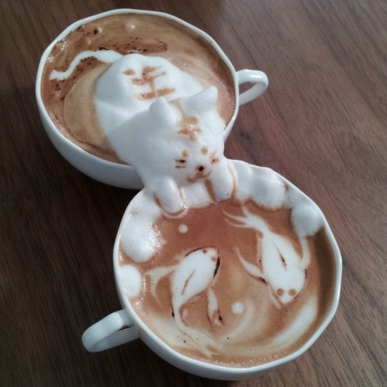 FOTO CAMARA CAFE foto camara cafe: