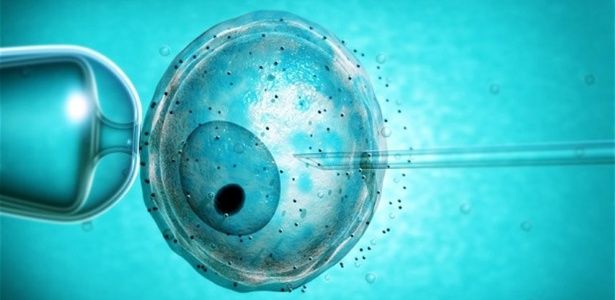 Técnica permite que núcleo saudável de óvulo com mitocôndria danificada seja usado