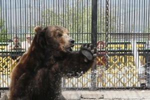 Ilya Naymushin/Reuters