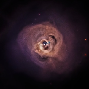 NASA/ CXC/ SAO/ Bulbul Et Al