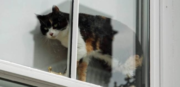 3jul2014---bruce-e-eileen-gough-ambos-co