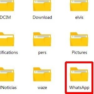 Reprodução Reprodução