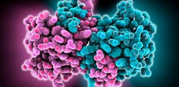 Esse modelo molecular mostra partes dos vírus do ebola que os cientistas estudam na tentativa de produzir medicamentos que reduzem a propagação da doença