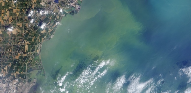 Imagem de satélite mostra a proliferação de algas em lago na cidade de Toledo, nos EUA