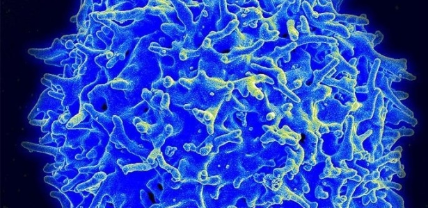 Micrografia de uma célula T