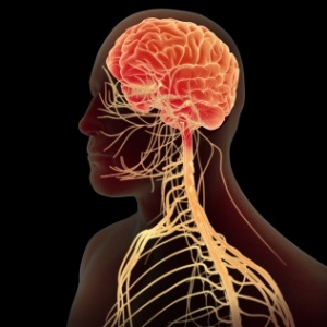 Reprodução/3dscience.com