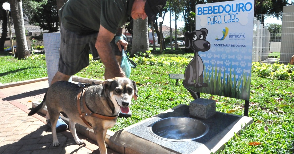 Bebedouro P Blico Para C Es Em Pra A De Botucatu Sp Faz Sucesso