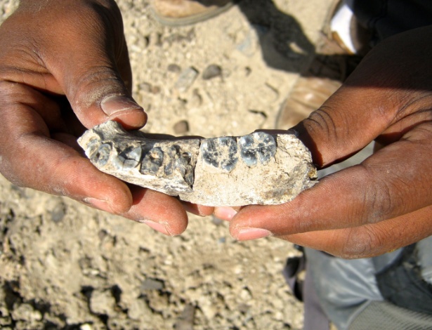 Pesquisador exibe um pedaço de mandíbula descoberto na Etiópia, que os cientistas batizaram de LD-350-1: ancestral humano teria vivido há 2,8 milhões