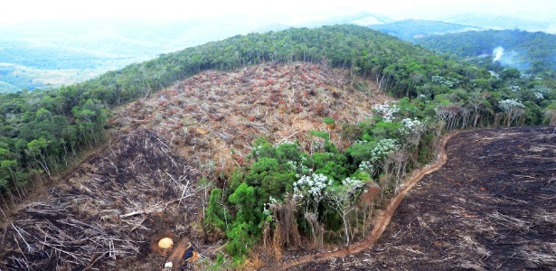 Dos mais de 1,3 milhão de km² originais da Mata Atlântica, restam apenas 14,5%