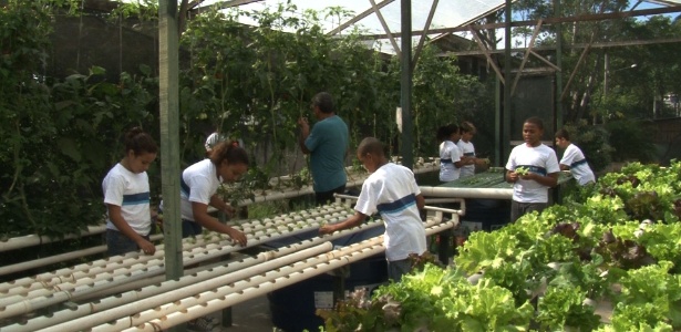 Estudantes do Ciep Pontes de Miranda trabalham em horta da escola