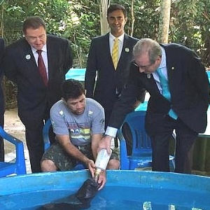 O presidente da Câmara dos Deputados, Eduardo Cunha (PMDB-RJ), alimenta um peixe-boi em visita ao Instituto Nacional de Pesquisas da Amazônia em Manaus (AM)