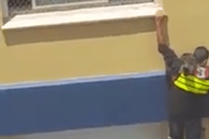 No RS, motoboy escala prédio para salvar gato e vira herói (Foto: Reprodução/Facebook)