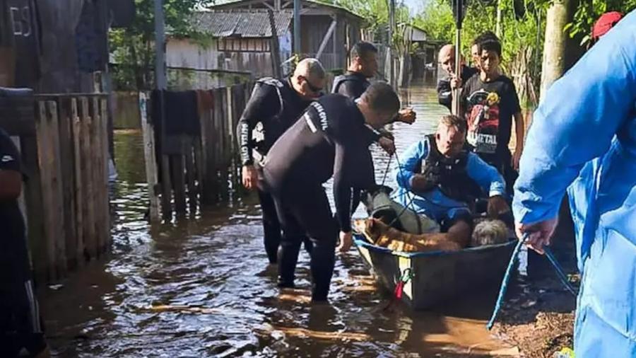 🏴⚠️ATENÇÃO, PORTO ALEGRE! Está suspenso o encaminhamento de