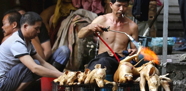 Açougueiro grelha cães abatidos em mercado de carne de cachorro em Yulin