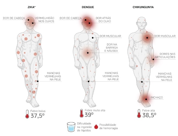 Conheças as diferenças entre zika, dengue e chikungunya