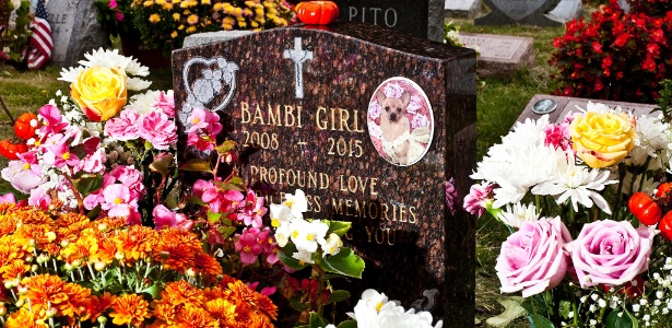 Lápide no cemitério de animais Hartsdale, em Nova York