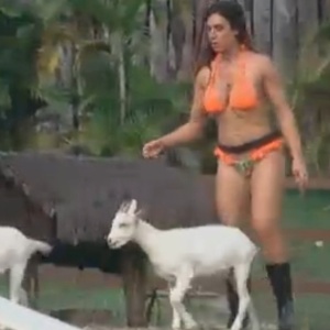 De biquíni laranja, Nicole Bahls leva cabras para cercado (31/7/12)