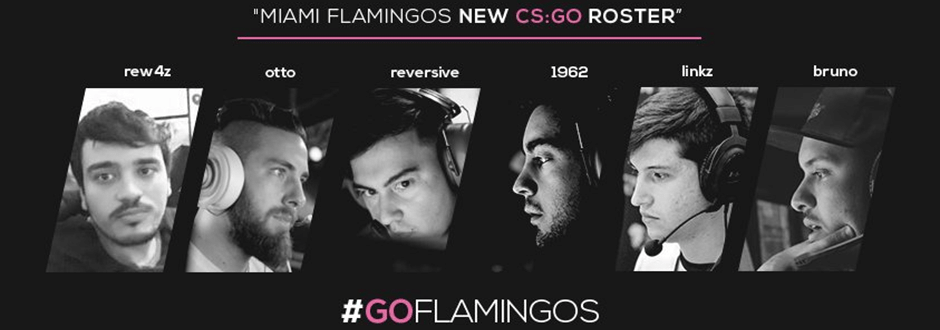 Miami Flamingos revela sua nova lineup sul-americana de CS:GO