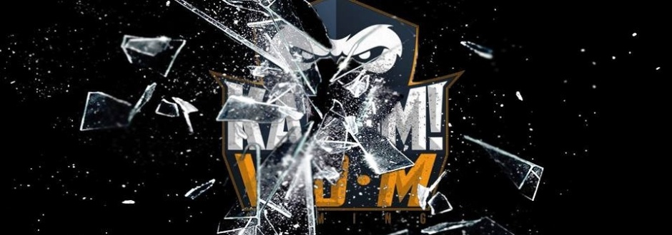 KaBuM e-Sports e IDM Gaming terminam parceria para CBLoL 2017