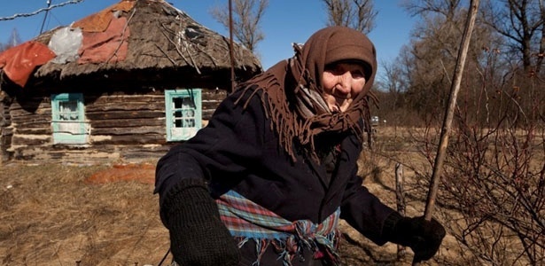 Reprodução/Animal New York