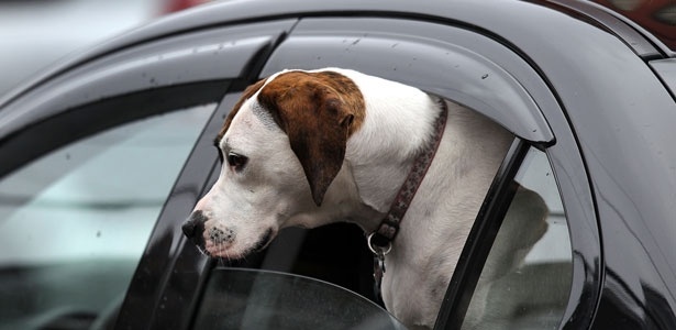 Reprodução/vox Reprodução/vox