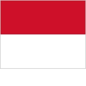 Flagpedia Flagpedia