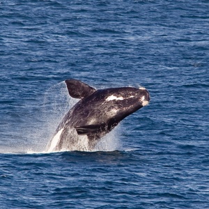 Getty Images/iStockphoto