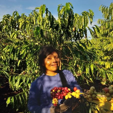 Celesty Suruí, barista indígena