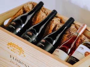  VAMOS DE VINHO 