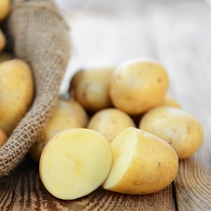 Getty Images/iStockphoto