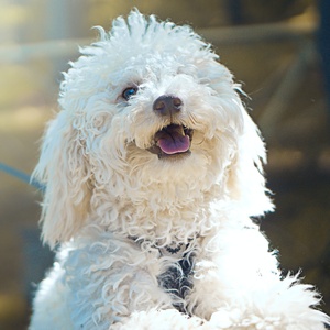 Matthew Fournier/Unsplash