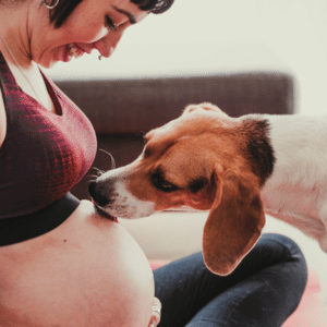 Canva/Eva Blanco Photos