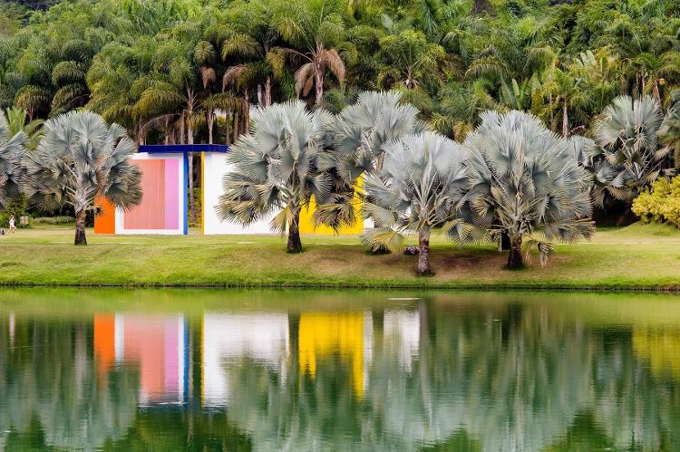 Jardim de palmeiras azuis ao lado da obra de Hélio Oiticica, em Inhotim Jardim de palmeiras azuis ao lado da obra de Hélio Oiticica, em Inhotim