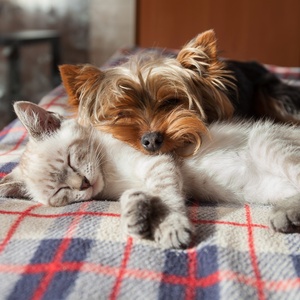 Getty Images/iStockphoto