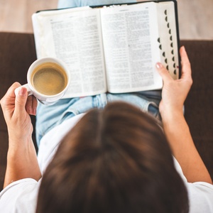 tutye - stock.adobe.com