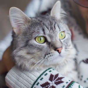 Getty Images/iStockphoto