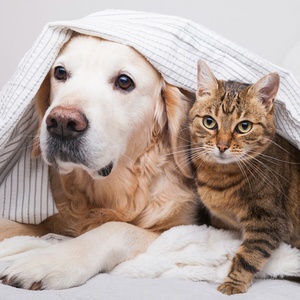 Getty Images/iStockphoto