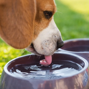 przemyslawiciak/Canva