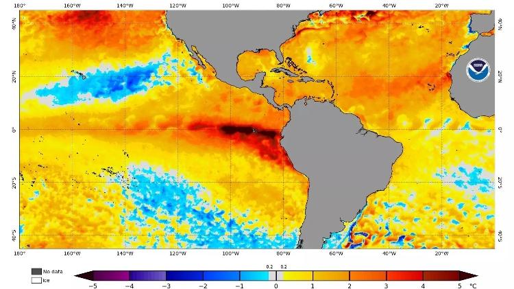 Anomalia de temperatura da superfície oceânica no Pacífico Central Equatorial atingiu +1,5ºC no último boletim da NOAA