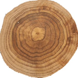 Elvissant, CC BY-SA 4.0, via Wikimedia Commons