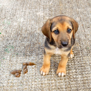 Getty Images/iStockphoto