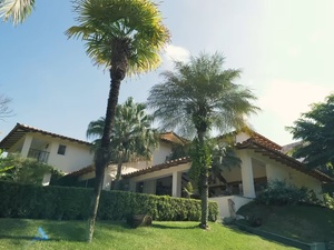 Alexandre Moura/UOL e Reprodução