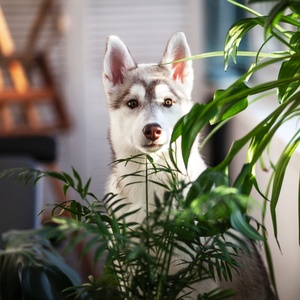 Getty Images/iStockphoto