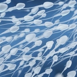 Istock