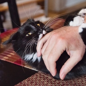 Getty Images/iStockphoto